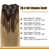 Chocolate Brown Fading to Dirty Blonde 7pcs 120g Clip in Human Hair Extensions Lab Hairs 